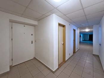 Pronájem bytu 1+kk v osobním vlastnictví 30 m², Suchdol nad Lužnicí