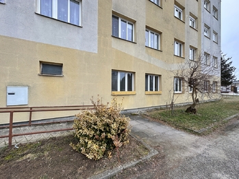 Pronájem bytu 1+kk v osobním vlastnictví 30 m², Suchdol nad Lužnicí