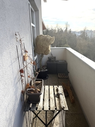 Prodej bytu 2+kk v osobním vlastnictví 55 m², Jihlava