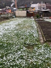 Záhon k bytu, zatím neupravený. - Prodej bytu 3+1 v osobním vlastnictví 67 m², Hlubočky