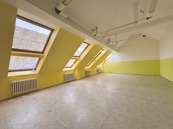 Prodej nájemního domu 2396 m², Kyjov