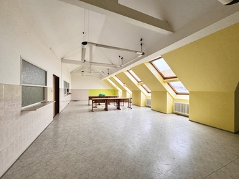 Prodej nájemního domu 2396 m², Kyjov