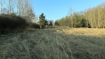Prodej pozemku 3487 m², Přeštice