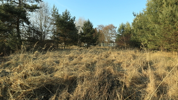 Prodej pozemku 3487 m², Přeštice