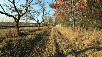 Prodej pozemku 3487 m², Přeštice