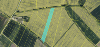 Prodej pozemku 17821 m², Moravany