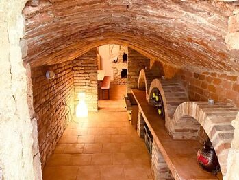 Pronájem, penzion, Klentnice - Pronájem domu 170 m², Klentnice