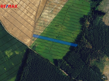 Prodej pozemku 34659 m², Buková