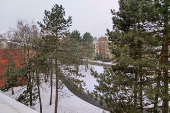 Pronájem bytu 2+1 v osobním vlastnictví 65 m², Brno