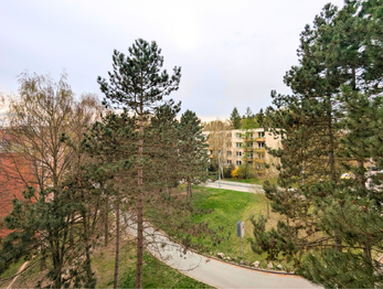 Pronájem bytu 2+1 v osobním vlastnictví 60 m², Brno