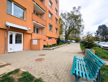 Pronájem bytu 2+1 v osobním vlastnictví 60 m², Brno