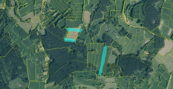 Prodej pozemku 16922 m², Nová Ves