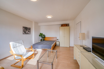 Pronájem bytu 4+1 v osobním vlastnictví 98 m², Praha 3 - Žižkov