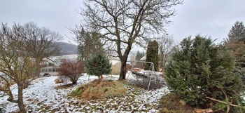 Zahrada - Prodej domu 137 m², Jedovnice