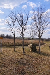 Cyklostezka v těsné blízkosti - Prodej pozemku 6121 m², Číčovice