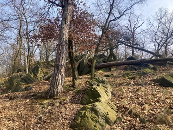 PP Číčovický Kamýk - Prodej pozemku 6121 m², Číčovice