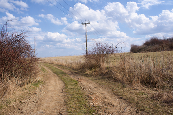 Přístupová cesta - Prodej pozemku 6121 m², Číčovice
