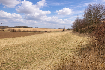 Pohled 1 - Prodej pozemku 6121 m², Číčovice