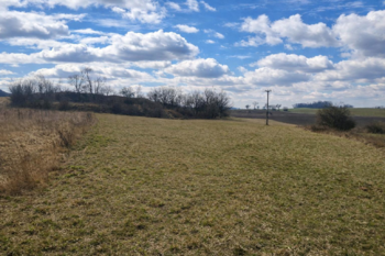 Pohled 2 - Prodej pozemku 6121 m², Číčovice