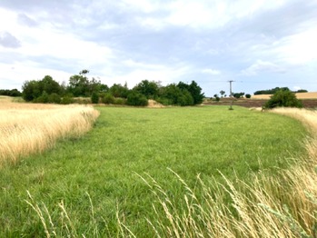 Prodej pozemku 6121 m², Číčovice
