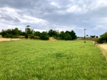 Prodej pozemku 6121 m², Číčovice