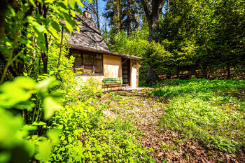 Prodej chaty / chalupy 50 m², Borovnice