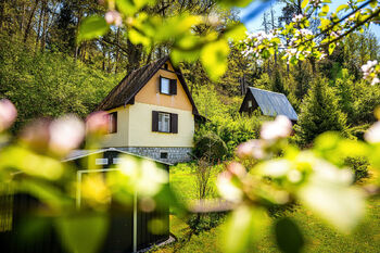 Prodej chaty / chalupy 50 m², Borovnice