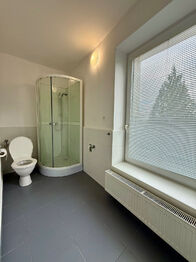 Pronájem bytu 1+1 v osobním vlastnictví 36 m², Bílovec