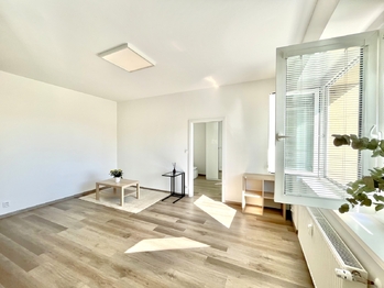 Pronájem bytu 2+kk v osobním vlastnictví 60 m², Praha 7 - Holešovice