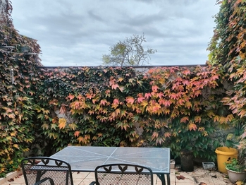 Prodej domu 90 m², Blučina