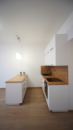 Pronájem bytu 3+kk v osobním vlastnictví 71 m², Praha 7 - Holešovice