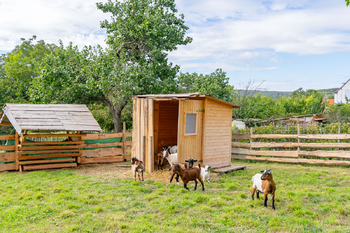 Prodej domu 268 m², Kobylí