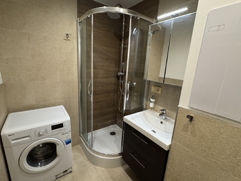 Pronájem bytu 1+kk v družstevním vlastnictví 42 m², Kladno