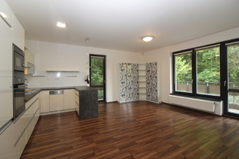 obývací pokoj s kuchyňským koutem - Pronájem bytu 2+kk v osobním vlastnictví 85 m², Praha 8 - Libeň