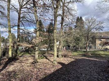 Prodej pozemku 2320 m², Březová-Oleško