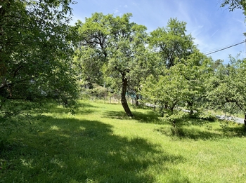 Prodej pozemku 2320 m², Březová-Oleško