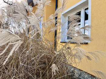 Prodej rodinného domu 6+1 se zahradou, Příchovice, Kucíny, Přeštice, Plzeň - Prodej domu 238 m², Příchovice