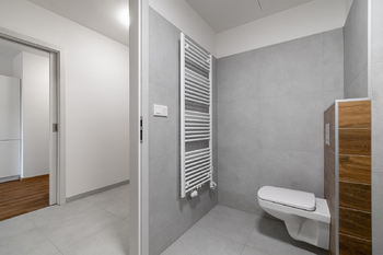 Pronájem bytu 2+kk v osobním vlastnictví 57 m², Plzeň