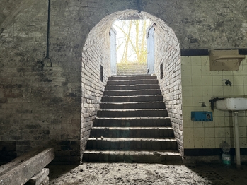 Prodej pozemku 233 m², Brod nad Dyjí