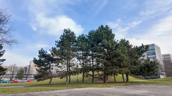 Okolí před domem - Prodej bytu 3+1 v osobním vlastnictví 67 m², Praha 4 - Chodov