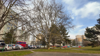 Okolí před domem 2  - Prodej bytu 3+1 v osobním vlastnictví 67 m², Praha 4 - Chodov