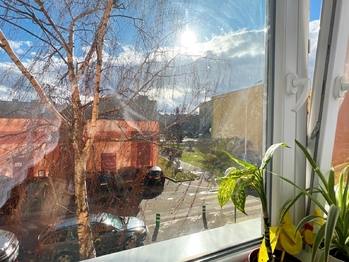 Výhled z vysokého prvního nadzemním podlaží udržovaného domu - Prodej bytu 2+kk v osobním vlastnictví 45 m², Praha 8 - Bohnice