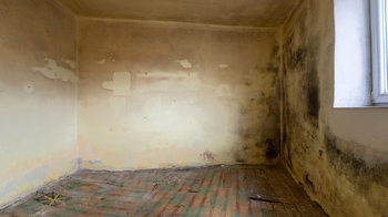 Prodej domu 90 m², Dobšice