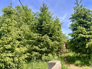 U posezení - Prodej domu 313 m², Dětřichov u Moravské Třebové