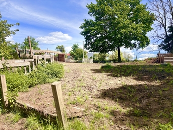 Pohled od domu na ohradu/zahradu - Prodej domu 313 m², Dětřichov u Moravské Třebové