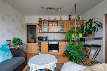 Byt 2+kk, 44 m2 + balkon 3.9 m2 Krasická, Prostějov - Prodej bytu 2+kk v osobním vlastnictví 44 m², Prostějov 
