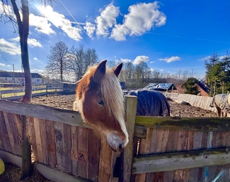 Ohrada - Prodej pozemku 2494 m², Dětřichov u Moravské Třebové