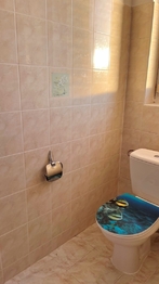 Pronájem bytu 3+1 v osobním vlastnictví 188 m², Přeštice