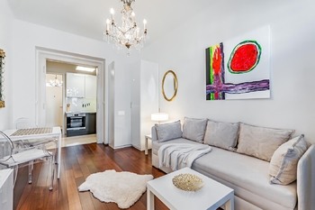 Obývací pokoj s rozkládací pohovkou - Pronájem bytu 1+kk v osobním vlastnictví 28 m², Praha 6 - Břevnov