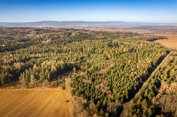 Prodej pozemku 8962 m², Lišov